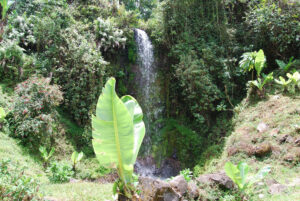 Marangu Cultural Day Tour