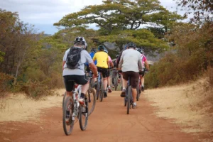 1 Day Biking Tour in Moshi